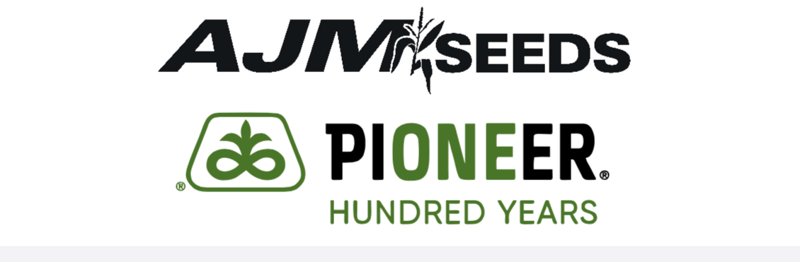 AJM Seeds - Pioneer 